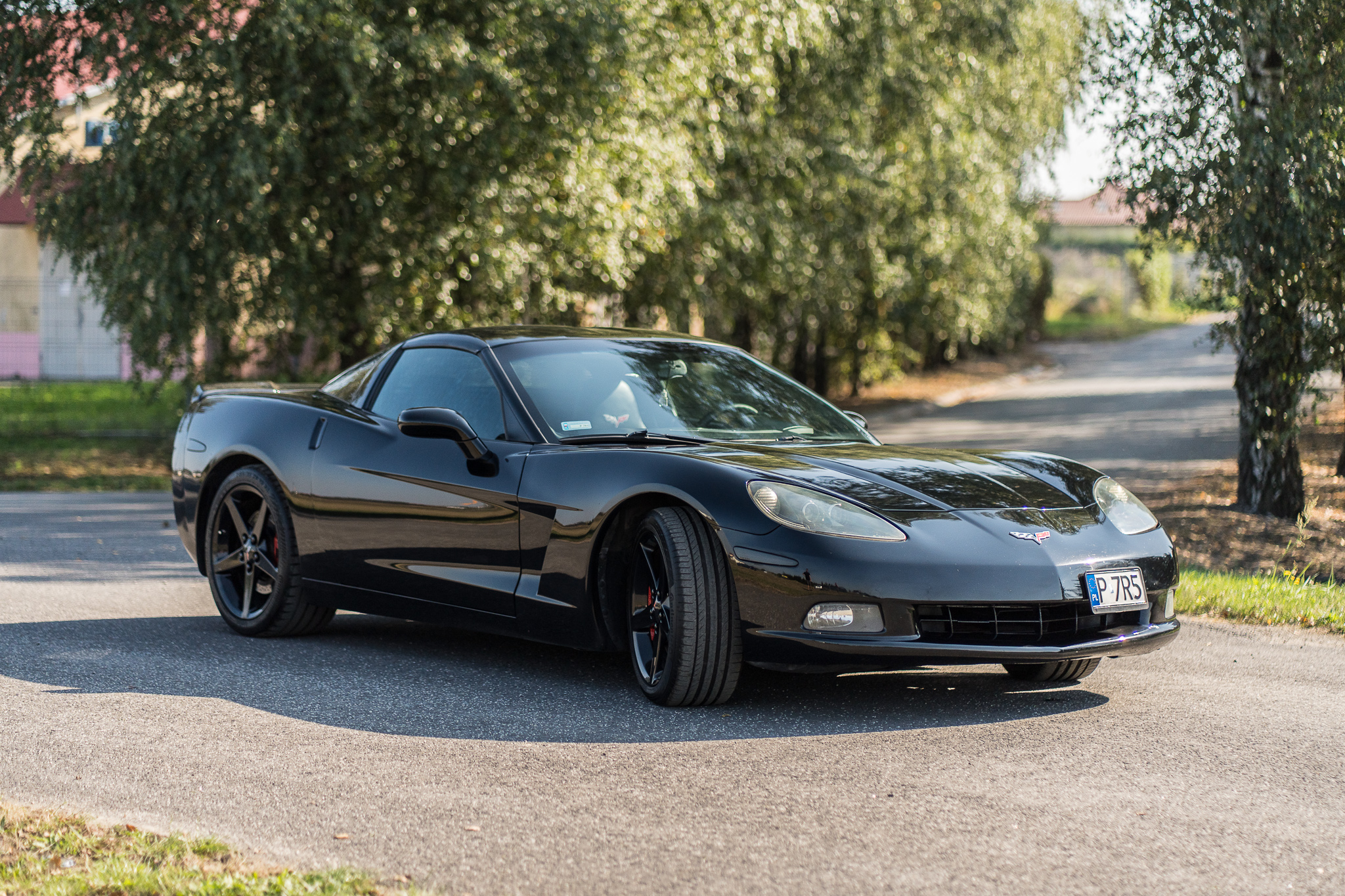 Chevrolet Corvette C6 Targa