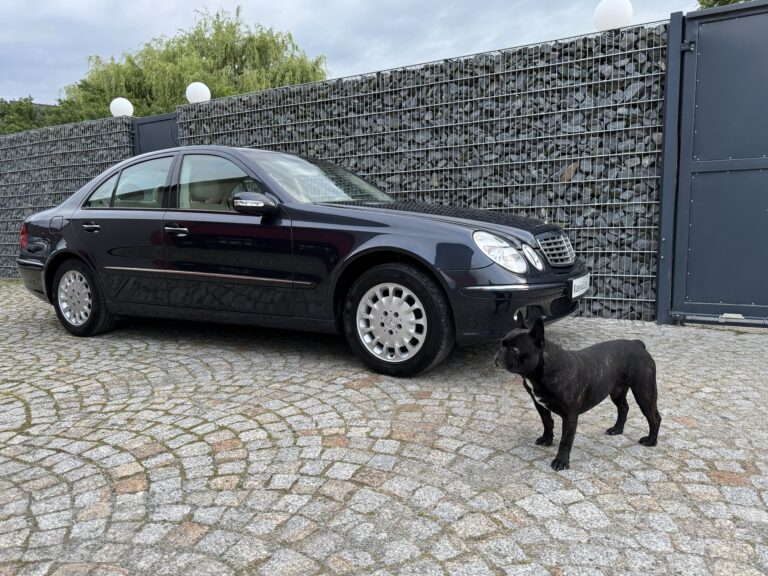 Mercedes W211 Klasyka Gatunku