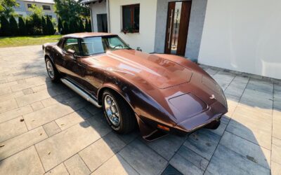 CHEVROLET CORVETTE C3 1979