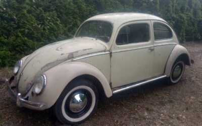 VOLKSWAGEN GARBUS OVAL